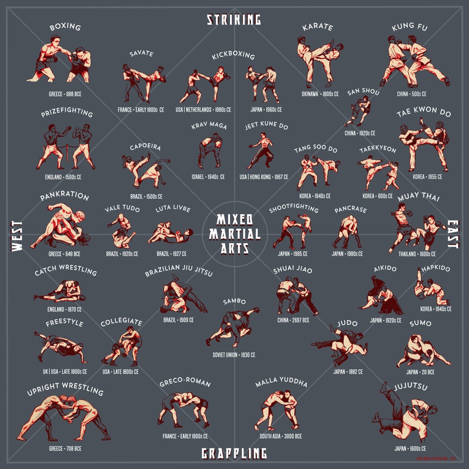 Mixed Martial Arts Striking Grappling. StrengthFighter.com