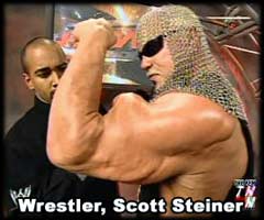 Scott Steiner Biceps