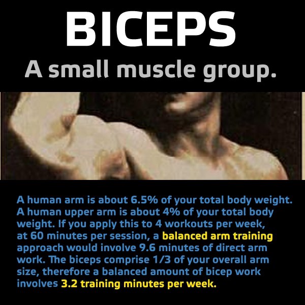 BICEPS – A small muscle group