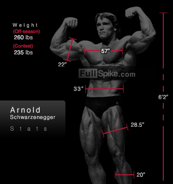 Arnold Schwarzenegger measurements