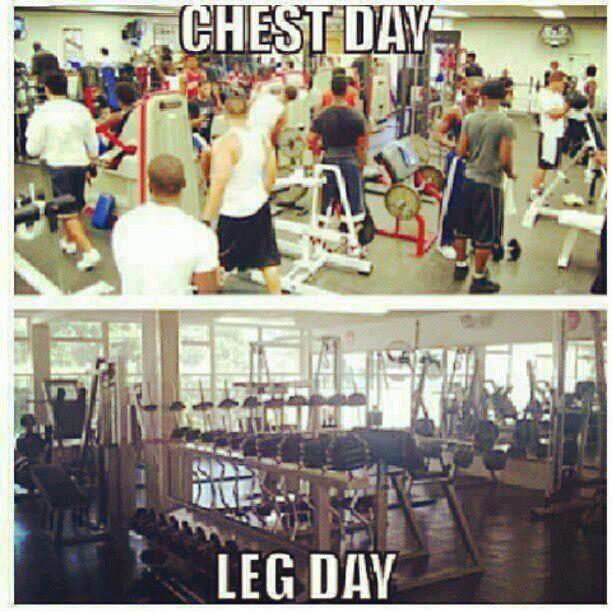CHEST DAY vs. LEG DAY