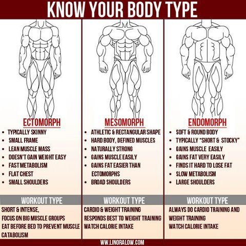 Know Your Body Type