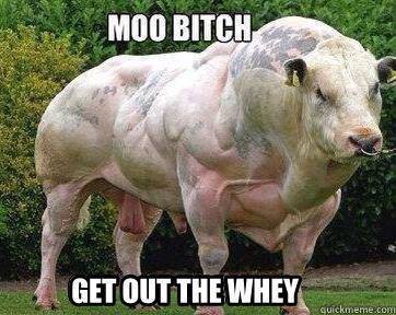 BULL ON STEROIDS