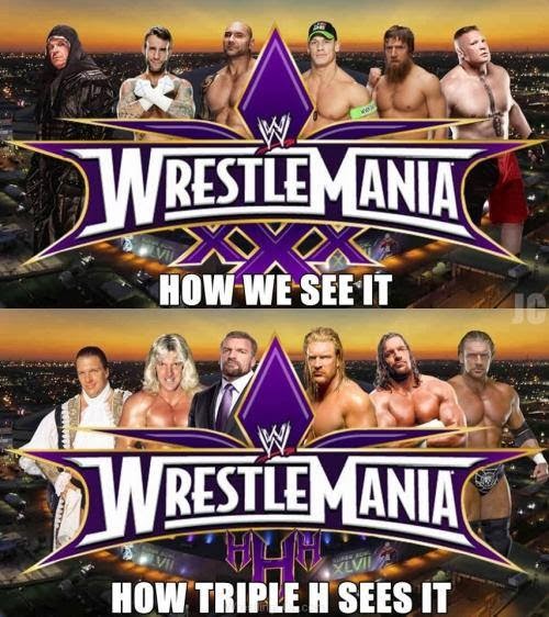Triple H vision of WrestleMania XXX
