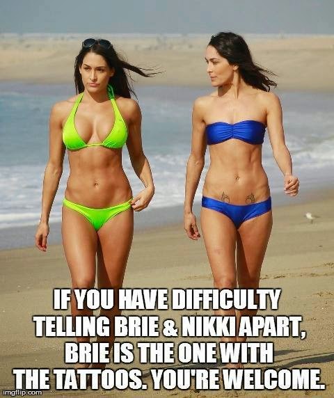 Differencing the Bella Twins