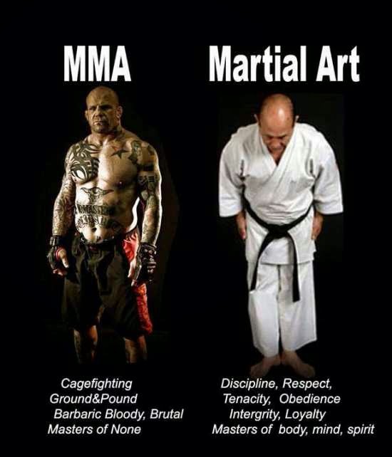 MMA vs. Martial Arts