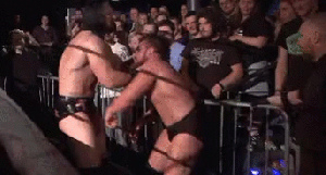 Pro Wrestler hitting a fan