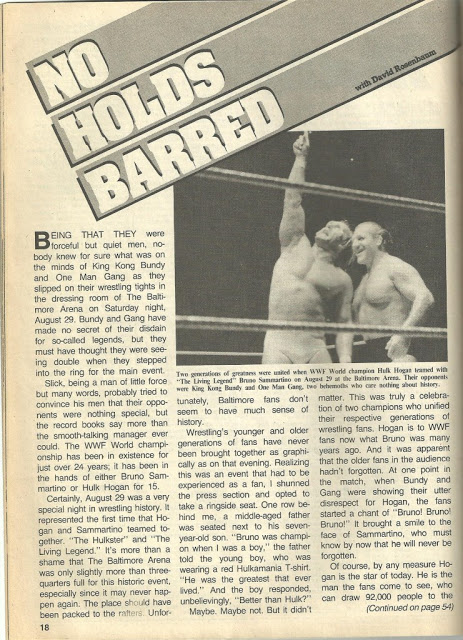 Hulk Hogan teaming with Bruno Sammartino