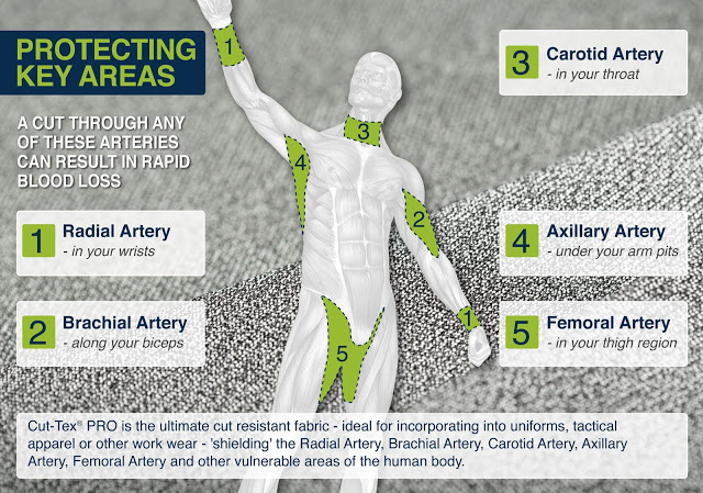 Human Body Key Arteries