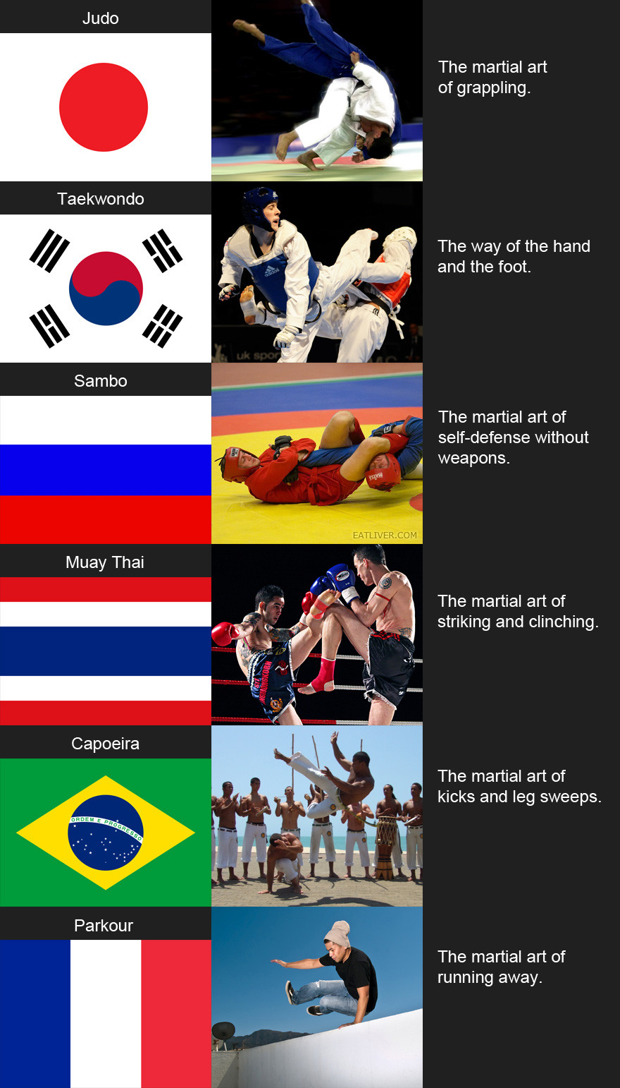 Martial arts around the world