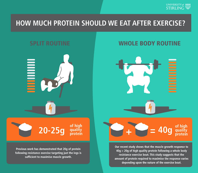 How much PROTEIN do you need after Workout?