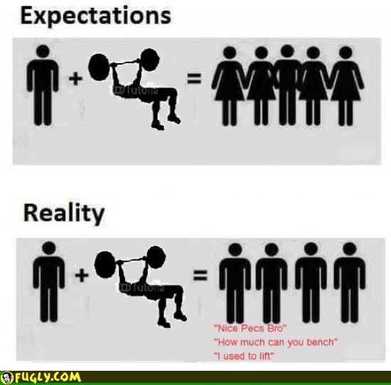 training expectations vs reality