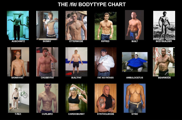 2019 Mens Bodytype Chart