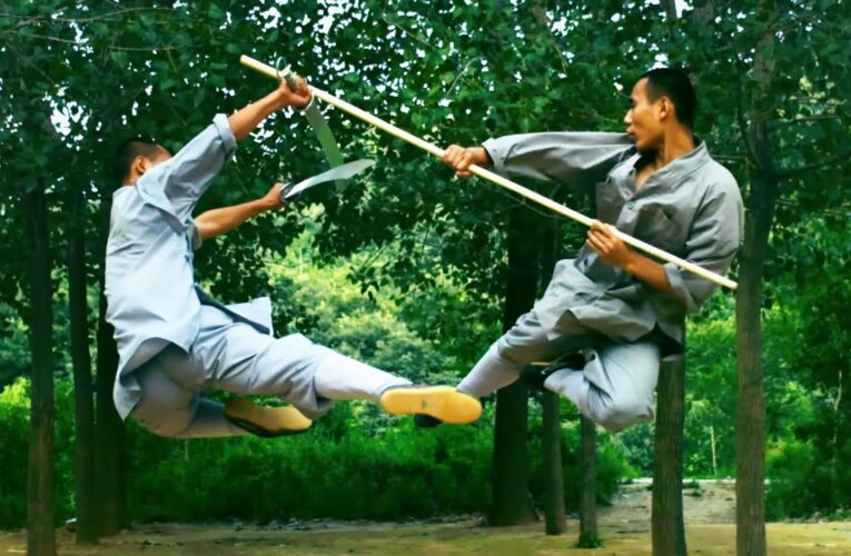 Can You Learn Kung Fu In Two Weeks?