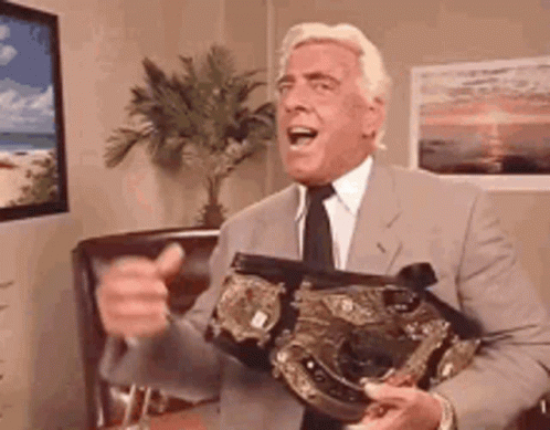 Ric Flair GIF Let The Party Begin