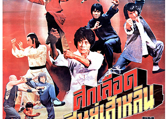 Shaolin Kung Fu Master (1978)
