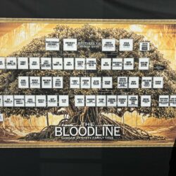 The Bloodline Samoan Dynasty Family Tree