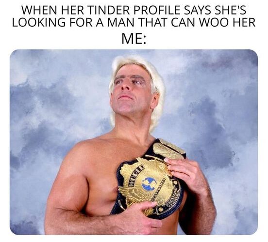 When her Tinder profile says she’s looking for a man that can woo her – Ric Flair meme