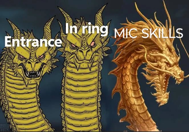 The Perfect Professional Wrestler